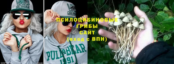 марки lsd Абаза